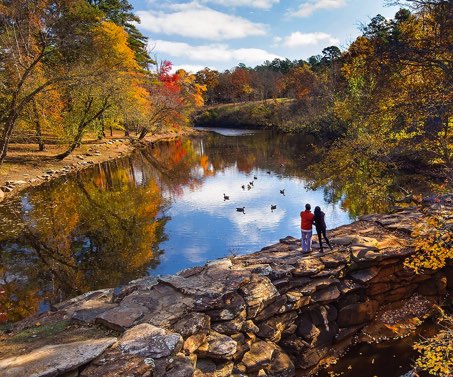 South Arkansas Landscape